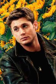 Looking for the best wallpapers? Dean Winchester Sunflower Dean Supernatural Supernatural Fandom Supernatural Cast Supernatural