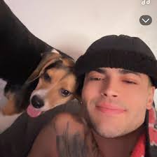 Rover sitter abandoned dogs for 22 hours