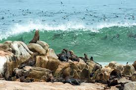 Now there is a notion that is hard to fathom. Experience A Day On Namibia S Skeleton Coast Art Of Safari