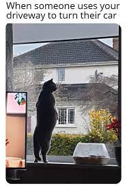 Nosy Neighbor Meme By Wrecklesshat Memedroid