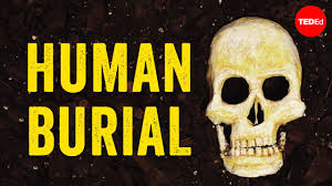 Bodies have been retrieved almost completely intact from waters below 7°c after several weeks, and as recognisable skeletons after five years. What Happens To Our Bodies After We Die Farnaz Khatibi Jafari Youtube
