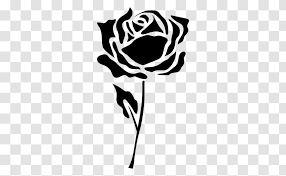 This file is all about png and it includes rose flower border clipart black and white tale which could help you design much easier than ever before. Rose Flower Clip Art Black And White Flamingo Transparent Png