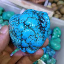 The coloring of his scales reminded me of raw turquoise though. Natural Turquoise Raw Stone Mineral Samples 80 90g Stones Aliexpress