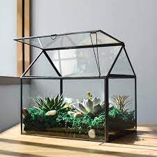 Amazon Com Large Glass Plant Terrarium House Succulent Glass Terrarium Kit With Lip Glass Greenhouse Terrarium In 2021 Terrariums Kits Terrarium Succulents In Glass