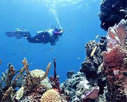 Belize Diving Belize Diving American Beaches Best Honeymoon Destinations