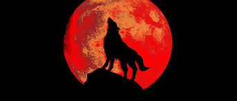 That date marks not just a supermoon, but also a blood moon, thanks to a lunar eclipse. Blood Moon Rising Watch It Here Live Slashgear