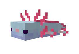 The new update was detailed at today's minecraft live presentation, and is slated for summer 2021. Axolotls Add On Minecraft Pe Mods Addons