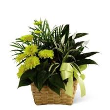 We offer same day flower delivery when you order by 12:00 pm local annapolis time monday through friday and 10:00 am on saturday. Birthday Flowers Delivery Annapolis Flowers By Donna