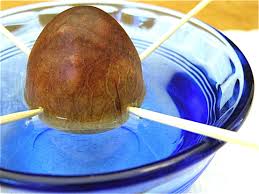 How To Grow An Avocado Tree From An Avocado Pit The Hungry Mouse
