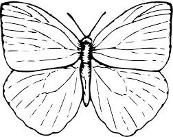 (full page, single butterflies are directly below and pages with multiple butterflies are further down this page.) click on any of the photos below, or on the text links above them. Butterfly Coloring Pages Kids Coloring Home