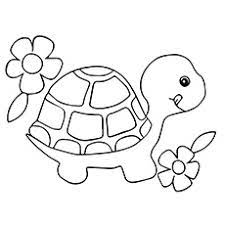 Coloring is a wonderful activity for your little one. Top 20 Free Printable Turtle Coloring Pages Online