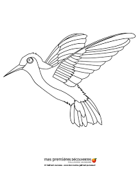 Check spelling or type a new query. Coloring Pages Bee Hummingbird Coloring Page