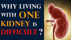 Why Living With One Kidney Is Difficult Kidney Expert Living With Sin Living With One Kidney Kidney Kidney Diet
