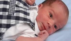 Oswego County TodayAnthony Ryan Pitcher