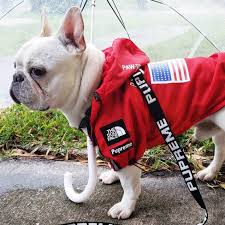 A wide variety of french bulldog clothes options are available to you, such as material, apparel & accessory type, and style. The Dog Face Windbreaker Supreme Paw Supply