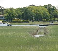 Image result for Crema RAL 1995 Fleet