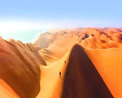 Savannah cover 64% of namibia, dry woodlands and forests 20%, while desert vegetation is distributed over 16%. Fairy Circles A Mystery Surrounding Namib Desert