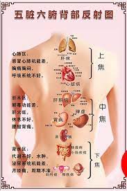 pin by nalrah skinner hicks on meridian health knowledge body health acupressure therapy