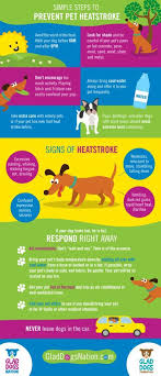 Pet Safety Keep Your 4 Legged Kids Out Of The Heat This Infograph Helps Explain The Simple Steps To Prevent Pe Pet Safety Heat Stroke In Dogs Pet Care Tips