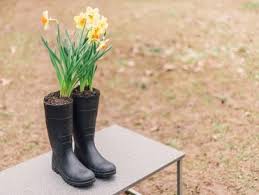 Same day or next day delivery is available. Repurposed Planters Hgtv