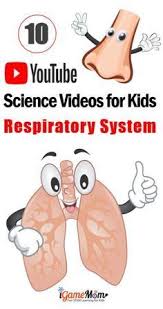 Science Videos On Youtube Teaching Kids Human Body Respiratory System Human Body Activities Science Videos For Kids Teaching Kids