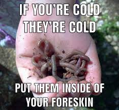 If youre cold theyre cold. Keep Then Warm This Christmas R Okbuddyretard Okbuddyretard Know Your Meme