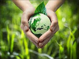World environment day has been celeberated every year on june 5 since 1974. World Environment Day 2019 Proven Ways To Save Environment And Money