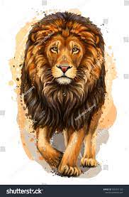 Lion dessin réaliste