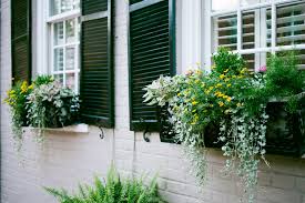 When the window box is filled with black potting soil, the mesh visually disappears. How To Hang Window Boxes Martha Stewart