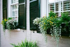 Shop planters and more at the home depot. How To Hang Window Boxes Martha Stewart