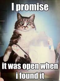 Got Milk Cute Animals Crazy Cats Cats