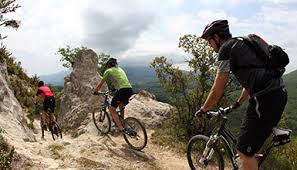It has a circulating supply of 660 billion btt coins and a max supply of 990 billion. Btt Tourismus Baskenland