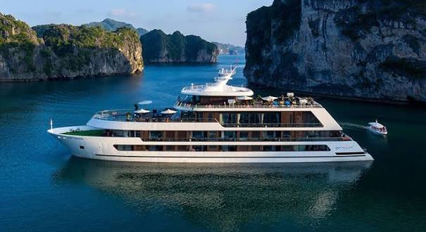 Stellar of the Seas Cruise Halong Bay: Reviews & Price Jul, 2026