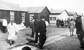 Former concentration camp (polizeiliches durchgangslager westerbork) near hooghalen, the netherlands. B U Bridge Boston University Community S Weekly Newspaper