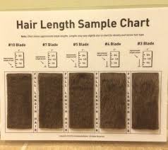 Shave Blade Sample Chart For Grooming Meshitzu Dog