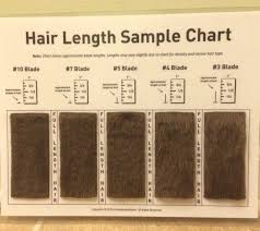 shave blade sample chart for grooming meshitzu dog