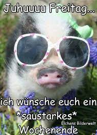 March 6, 2019 comments off. Bildergebnis Fur Elchens Bilderwelt Freitag Lustig Wochenende Wochenende Lustig