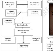 Irrigation Water Salinity Impact Evaluation Flow Chart