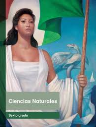 Ciencias naturales cuarto grado 2017 2018 pagina 15 libros de. Primaria Sexto Grado Ciencias Naturales Libro De Texto By Santos Rivera Issuu