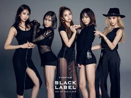 Fiestar Black Label Black Label Kpop Girls Mini Albums