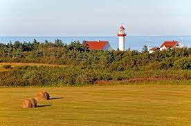 Trebuie să obțineți și un permis de muncă sau de studii. È™ansÄƒ UnicÄƒ Locuri De MuncÄƒ In AgriculturÄƒ In Canada Plata Ajunge La 2 400 De Dolari Pe LunÄƒ