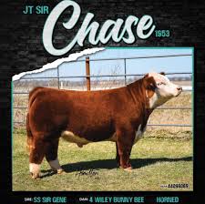 Profile for VW Farms