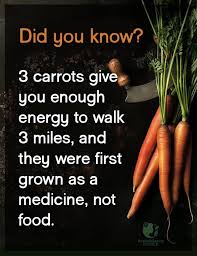 Pin By Julie Parker Qhht Edmonton On Health Health Facts Health And Wellness Quotes Health