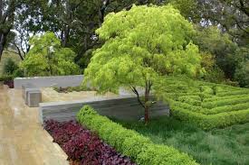 In addition to the size of rocks, consider the texture and colors of rocks and how they might integrate with other landscape features, such as. 15 Ideas For Landscaping Around Trees