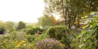 Roses are a classic beauty that no garden should do without. 30 Beautiful Garden Pictures Images Of Gorgeous Spring Gardens