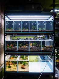 14 Fish Rack System Ideas Fishing Room Fish Breeding Fish Tank