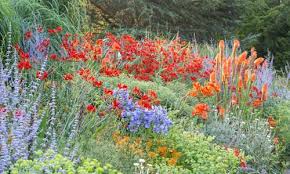 Pin On Garden Ideas