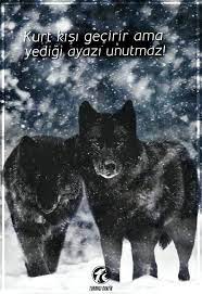 ulkucu tasarim panosundaki pin