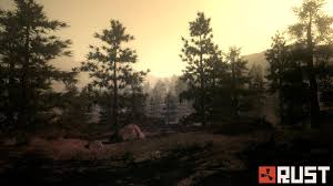 Download popular wallpapers from such games as: Rust Game Wallpapers Wallpaper Cave