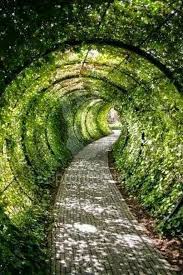 Pin By Lalpreet On Backyard Garden Ideas Pathway Landscaping Poison Garden Alnwick Castle